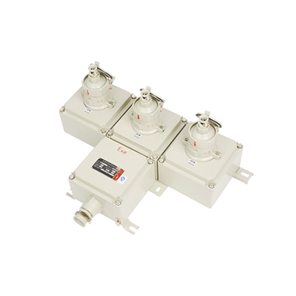 BXX系列防爆檢修(電源)插座箱(IIC、tD)