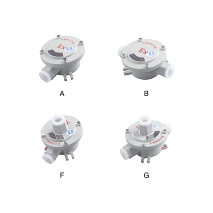 AH系列防爆接線盒( IIc、tD)